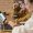 MicrosoftTeams image 1 2048x1367 1