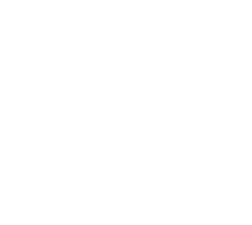 Blossom TMS Logo Final 02 (1)